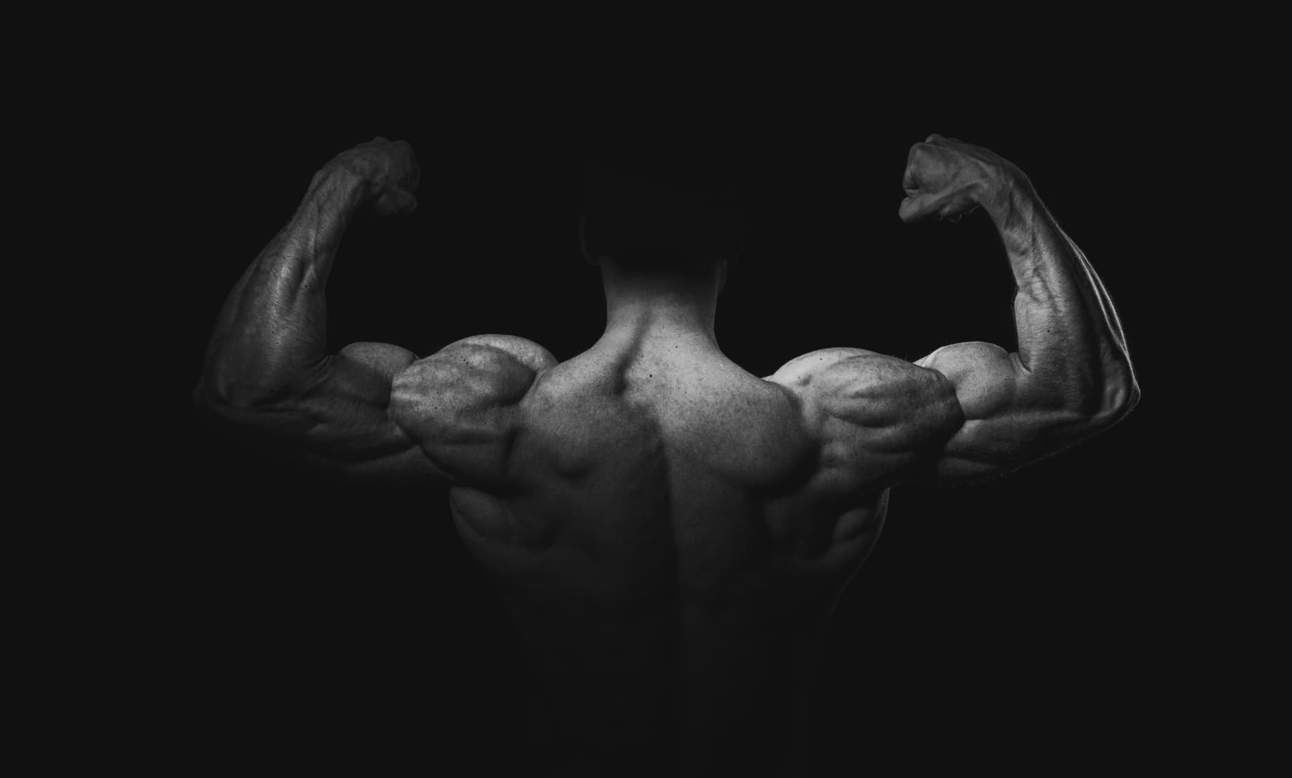 Rücken eines Bodybuilders